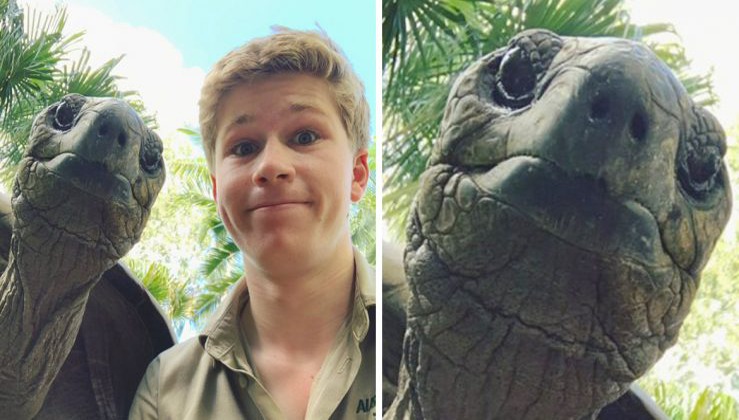 steve irwin funko turtle