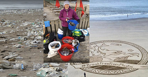 Amazing Grandma Cleaned 52 Beaches In 2018 To Help The Planet