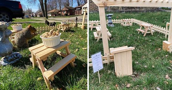 Man Uses Quarantine Time Creatively And Builds A Tiny Restaurant For Animals In His Yard