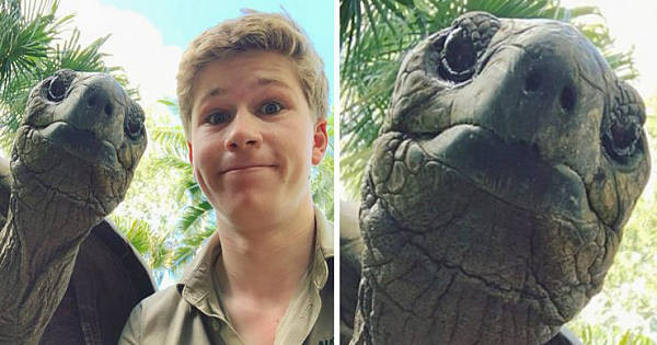 Robert Irwin Shares Photo Of His Self-Isolation Buddy, A Tortoise Named Igloo