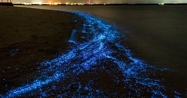 This Beach That Glows in the Dark Is Completely Magical to See