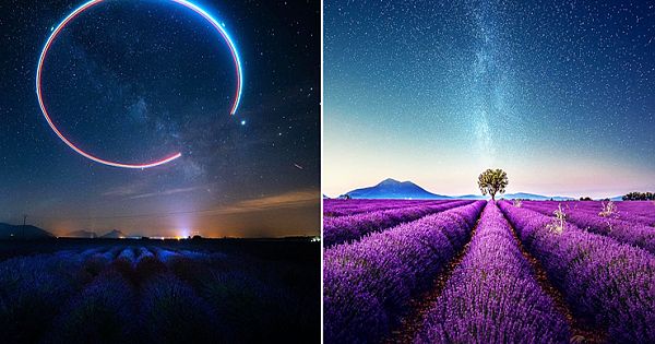 Breathtaking Aerial Photos Of A Lavender Field In Southern France By Samir Belhamra (10 Photos)