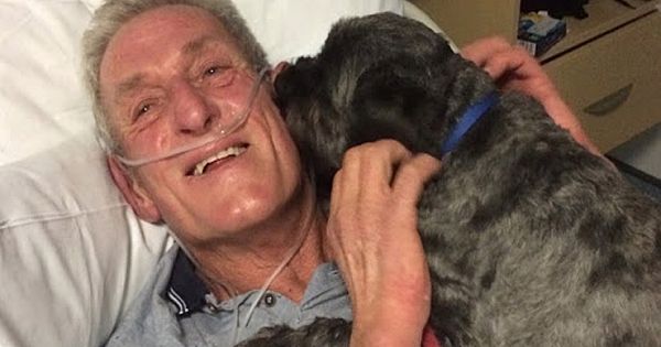 Man Wakes From Coma After His Dog Visits Hospital
