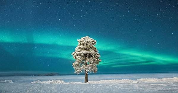 14 Of The Most Breathtaking Astronomy Photographs Of The Year 2020 Have Just Been Revealed