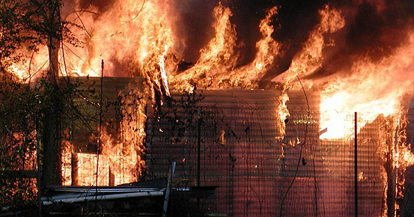 16-Year-Old Boy Drives Through Burning Barn Wall To Save 14 Trapped Clydesdale Horses