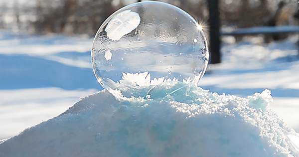 Woman Lets Nature Create Unique Beauty When She Leaves A Bubble In The Frozen Yard