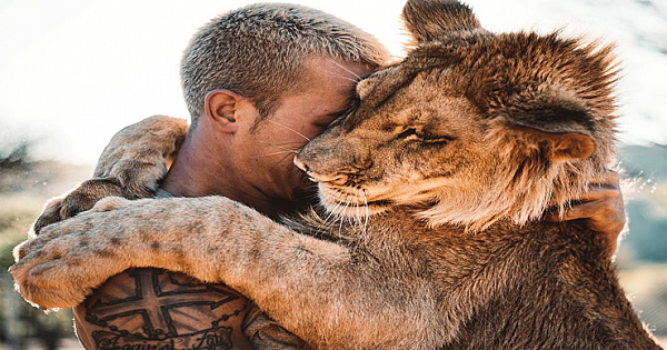 'Lion King' Dean Schneider Left A Well-Paying Job To Dedicate His Work To Save Mutilated Animals