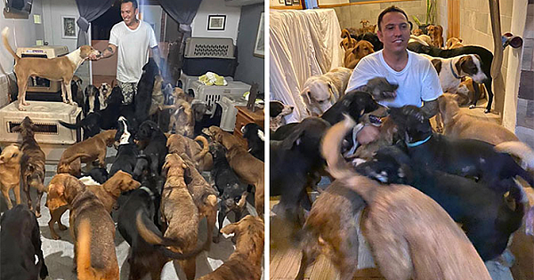 Man Brings 300 Stray Animals To His Home, Protects Them From Hurricane Delta