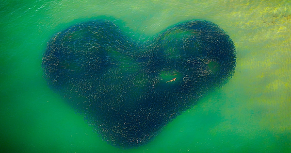 Winners Of the 2020 Drone Awards Show Stunning New Perspectives Of Our World