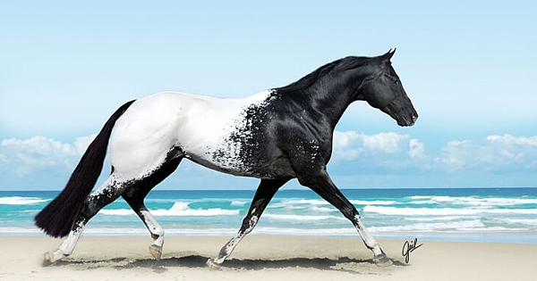10 Photos Of The World's Rarest Animals
