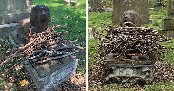 People Are Leaving Sticks At A Cemetery To Pay Tribute To A Dog Who Died 100 Years Ago