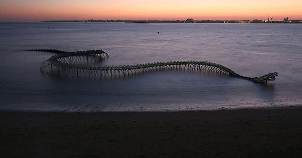 Serpent D'Océan: The 130-Meter Twisting Serpent Skeleton Emerges From The Nantes Coast In France