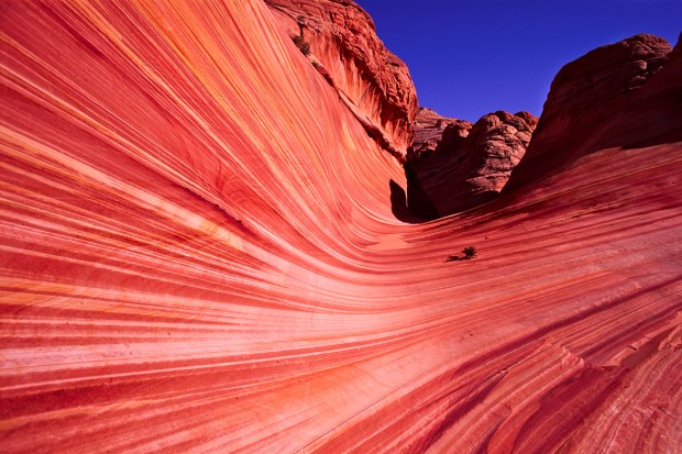 Great Photography Spots In Vermillion Cliffs National Monument