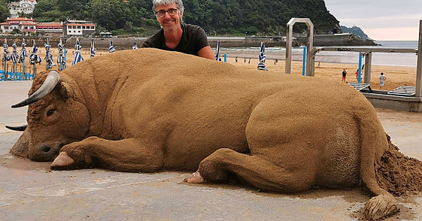 An Artist Creates Amazingly Realistic Sand Sculptures Of Animals Look Like They've Crawled Onto Shore