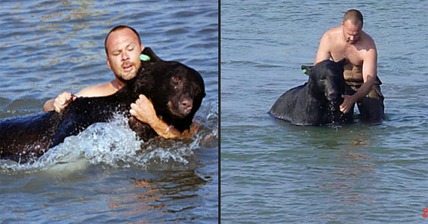 Brave Man Risks His Life To Save A 400Lb Drowning Bear