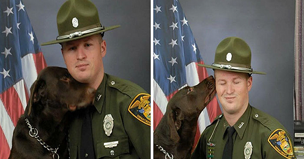 K9 Won't Stop Kissing His Partner During Official Photo Shoot, Then Finally Does A Serious One