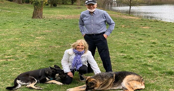 Major Biden, First Rescue Dog In The White House, Had A Virtual "Indoguration" That Attracted 10,000 Viewers