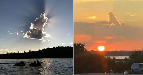 Dog Shaped Clouds Have People Convinced That All Dogs Really Do Go To Heaven