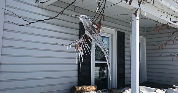 Freeze-Thaw-Refreeze Cycle Creates Hummingbird-Shaped Icicle In Michigan Yard