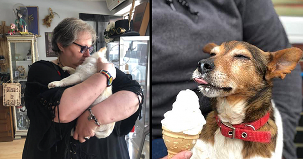Kind Nurse Opens Hospice To Shower Abandoned Senior Dogs With Love During Their Last Days