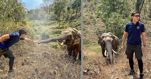 Heartwarming Moment Wild Elephant Recognises The Vet Who Treated Him 12 Years Ago