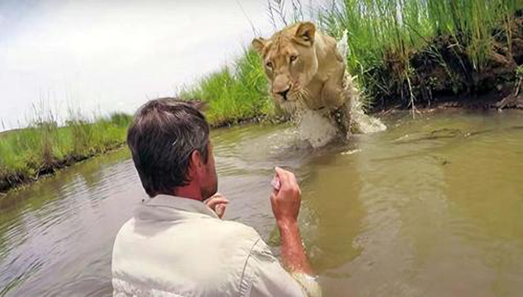 Man Who Rescued Two Lion Cubs Seven Years Ago Returns And Meets Them Face To Face