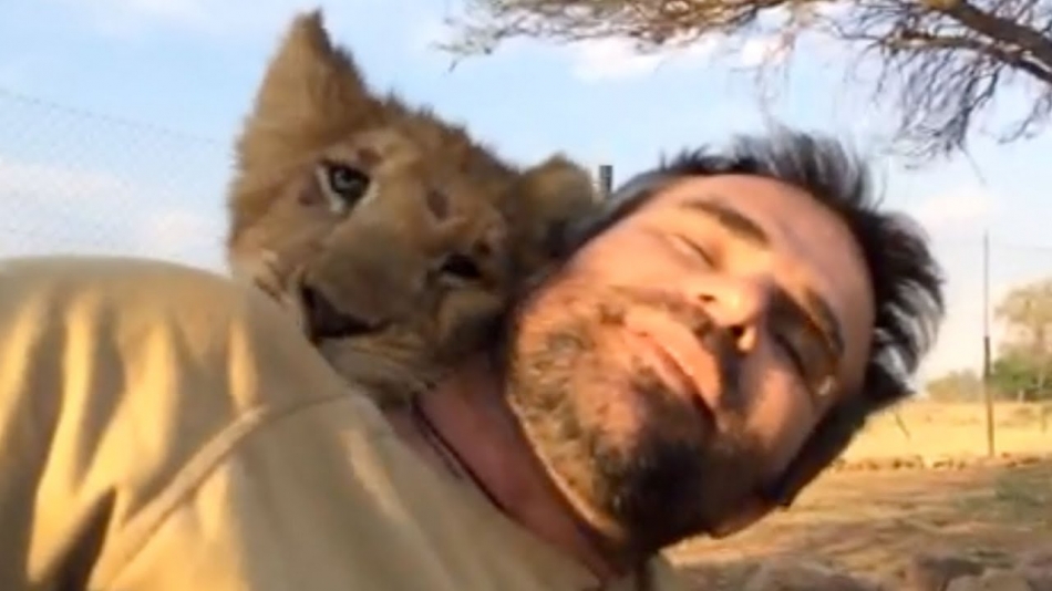 Man Who Rescued Two Lion Cubs Seven Years Ago Returns And Meets Them Face To Face