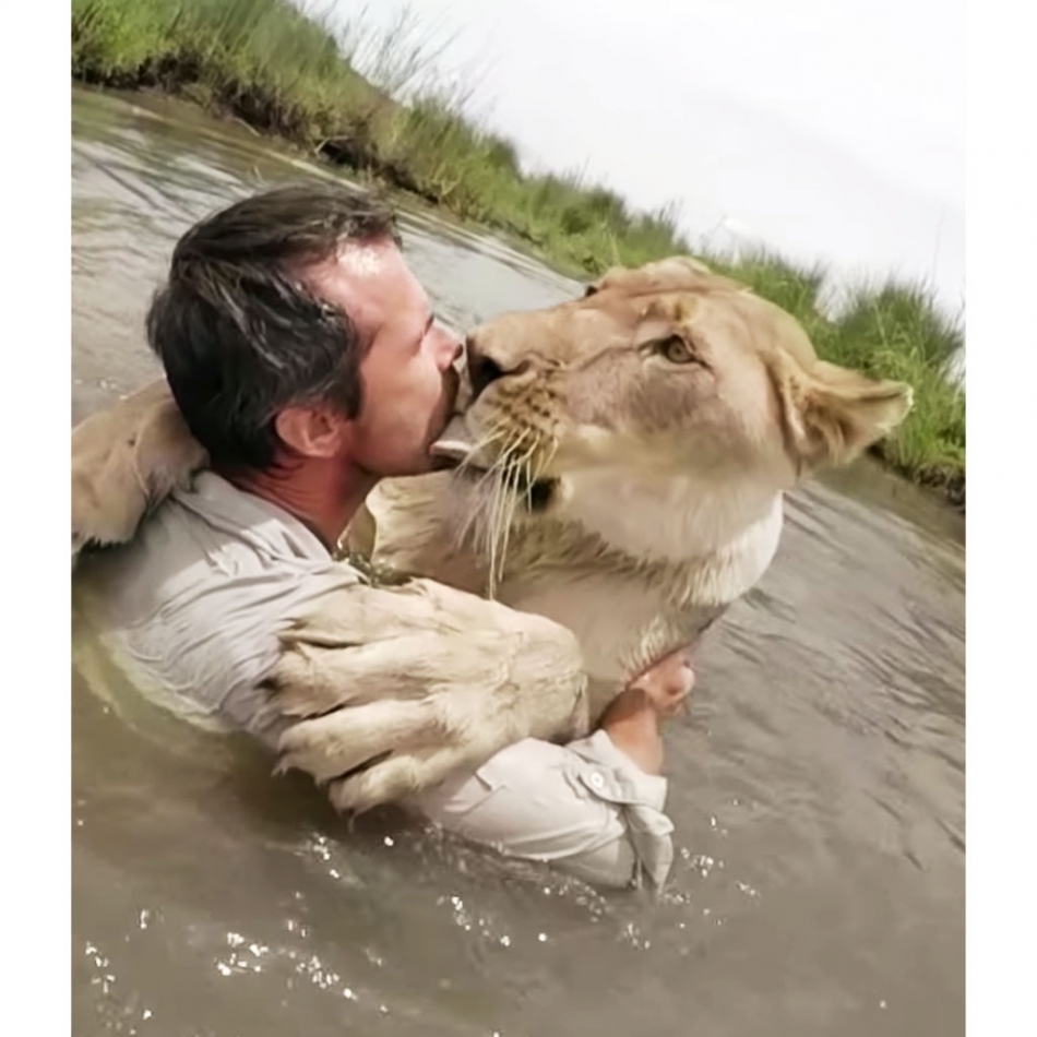 Man Who Rescued Two Lion Cubs Seven Years Ago Returns And Meets Them Face To Face