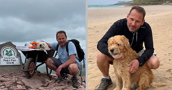 Man Takes His Dying Dog Up His Favorite Mountain In Wheelbarrow One Last Time