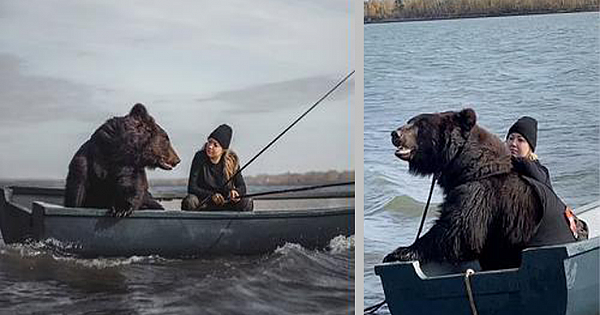 Woman And Her Rescued Brown Bear Friend Love Going Fishing Together