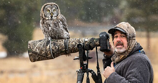 "It Sent Tingles Down My Spine For Hours": Owl Lands On This Photographer's Lens, Ends Up Blending In Perfectly