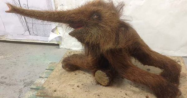 28,000-Year-Old Woolly Mammoth Cells Brought Back To Life By Scientists