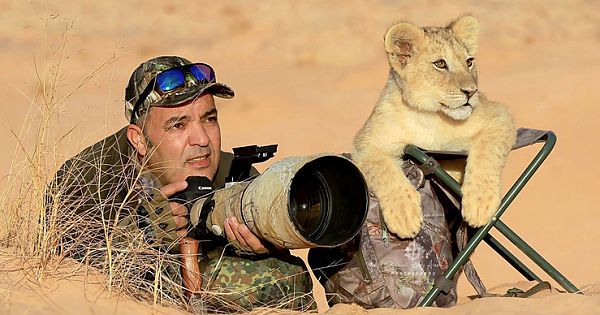 Photographer Joined by Adorable Lion Cub Photo Assistant (Video & Pics)
