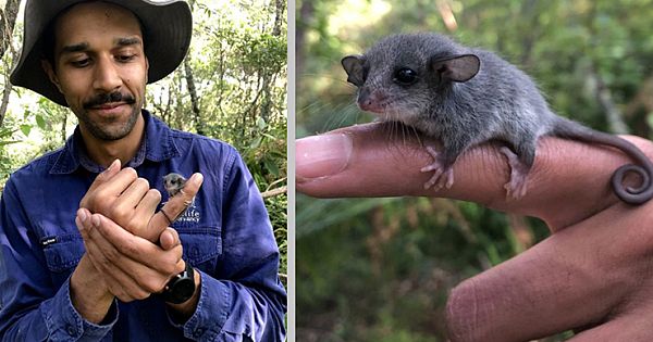 Researchers Find A Tiny Baby Animal And Realize There's More