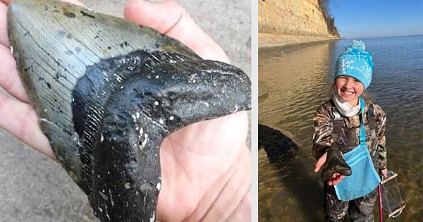 A 9-Year-Old Boy Found A rather Weird Object On The Seashore