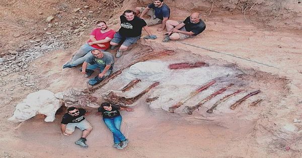 Man Finds Skeleton In His Backyard – Turns Out It's The Largest Dinosaur Ever Found in Europe (Video & Pictures)