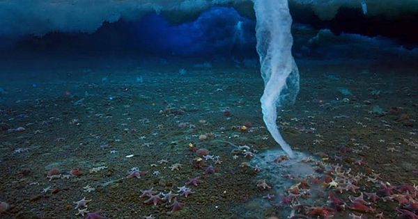 The "Ice Finger of Death" Caught on Camera for First Time Freezes Everything In Its Path (video & Pictures)