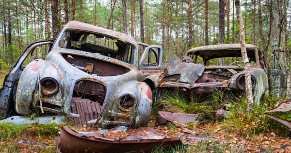 Boy Finds Abandoned Car In Forest, Notices Old Locked Box Inside When He Opened It, He Discovered The Unthinkable