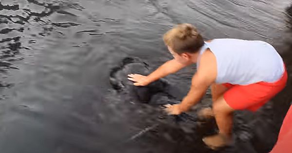 Nobody Believed Him When He Explained His Morning Ritual With An Unusual Friend, So They Recorded It