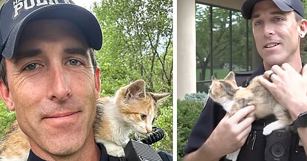 Officer Adopts Kitten After She Was Reportedly Thrown From A Vehicle (Pictures & Video)