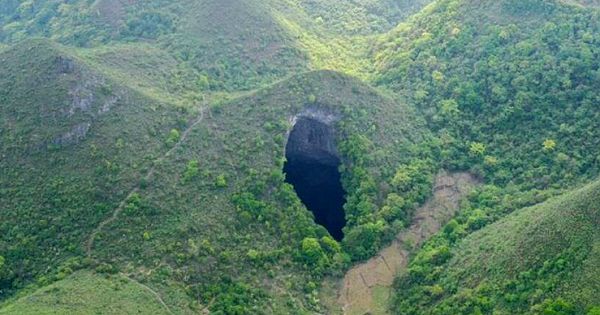 Scientists Have Discovered A Massive Ancient Forest 630 Feet Below The Surface Of A Sinkhole