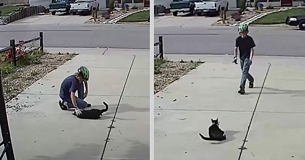 Boy Approaches Disabled Cat – Doesn&#039;t Realize The Camera Is Recording His Actions