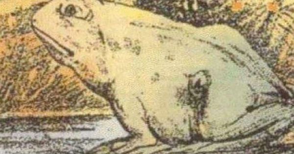 Can You Find The Horse In the Video In 7 Seconds? Only Certain People Can See
