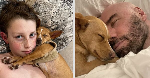 Famous Actor John Travolta Shares Adorable Photos Of Him With Rescue Dog Peanut