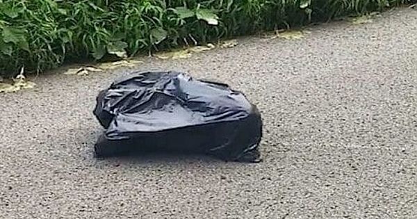 Woman Finds Trash Bag Moving In The Road, Stops Her Car To Save It