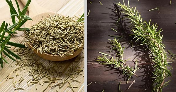 Burning Rosemary At Home; Surprising What Happens A Few Minutes Later