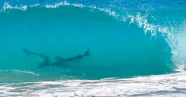 Most Dangerous 10 Beaches In The World