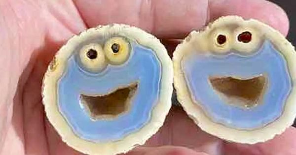 Rare Gemstone That looks Like Cookie Monster Discovered By Geologists