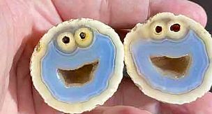 Rare Gemstone That looks Like Cookie Monster Discovered By Geologists