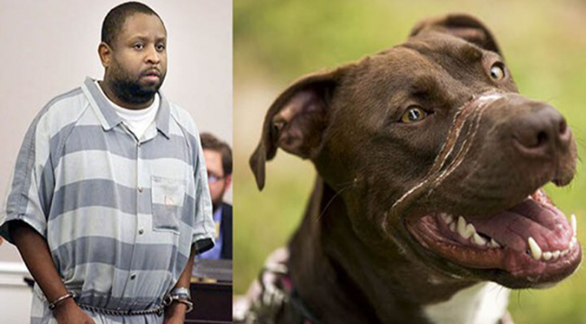 Abuser of “Caitlyn the dog” DENIED parole – He will serve the rest of his sentence!